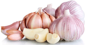 fertilizing garlic