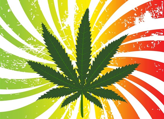 marijuana fertilizer