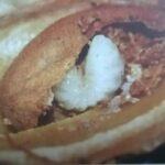 Škodcovia sliviek - Čierňavka slivková - larva v kôstke