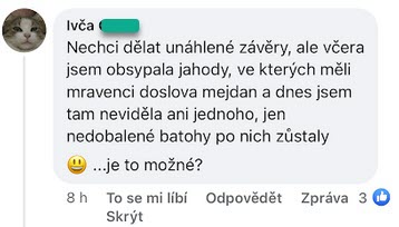 čo proti mravcom