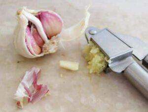 kuchyňský česnek