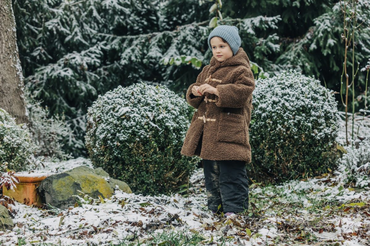 Starostlivosť o rastliny v zime - krátka verzia sazenicka