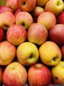 Zrelé jablká odrody Jonagold
