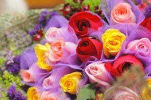 Ruže - kytica z červených, žltých a ružových ruží dekorovaná fialovým šifónom