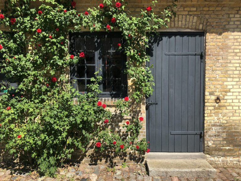 Starý romantický domček s ťahavými ​​červenými ružami Climber