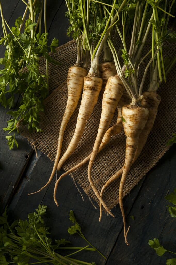 Raw Organic Parsley Root