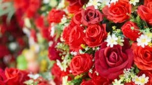 Kytica červených ruží dozdobená drobnými bielymi kvetmi