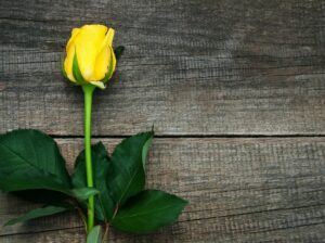 Žltá ruža položená na drevenom stole