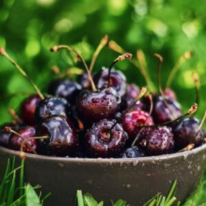 Vrtivka čerešňová – napadnuté čerešne