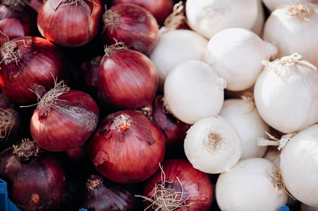 Cibuľová zelenina - červená a biela cibuľa