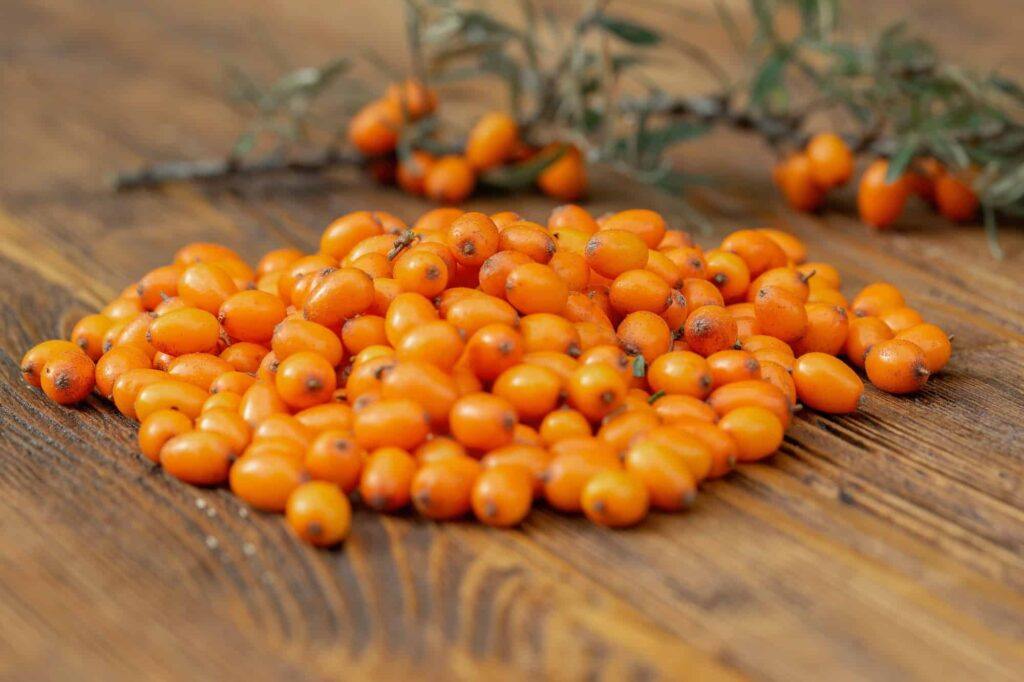 many sea buckthorn hippophae rhamnoides berries on wooden table