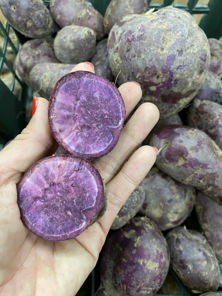 Okrasné batáty - fialové