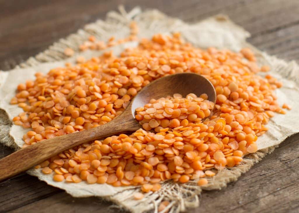 Šošovica červená