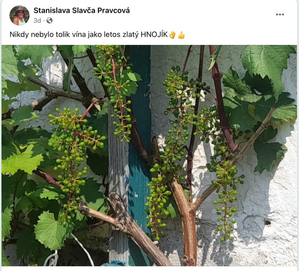 Hnojivo v balení na záhrade