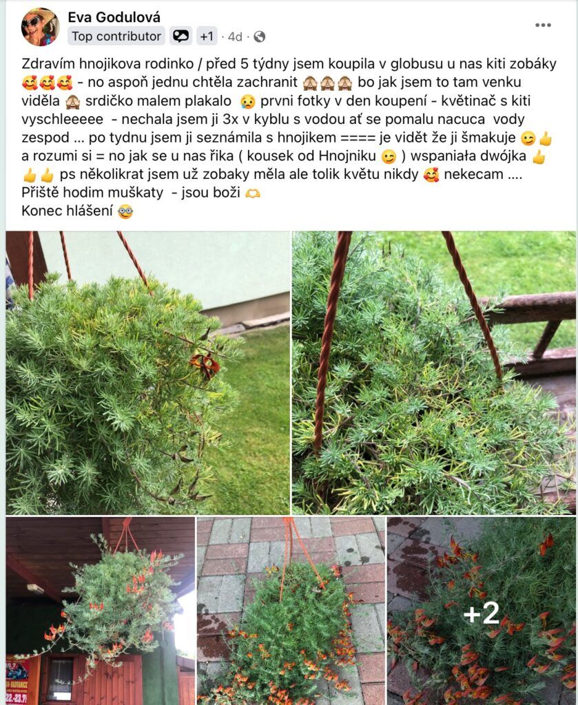 Hnojivo v balení so žltou etiketou na záhrade