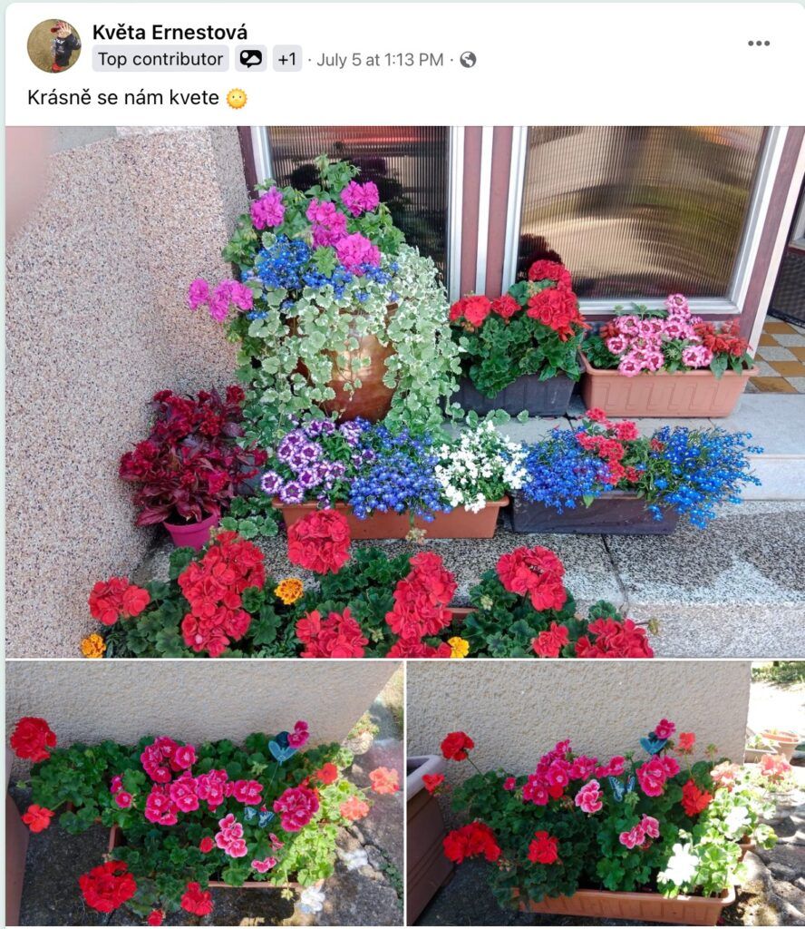 Hnojivo v balení s výrazným dizajnom na záhrade