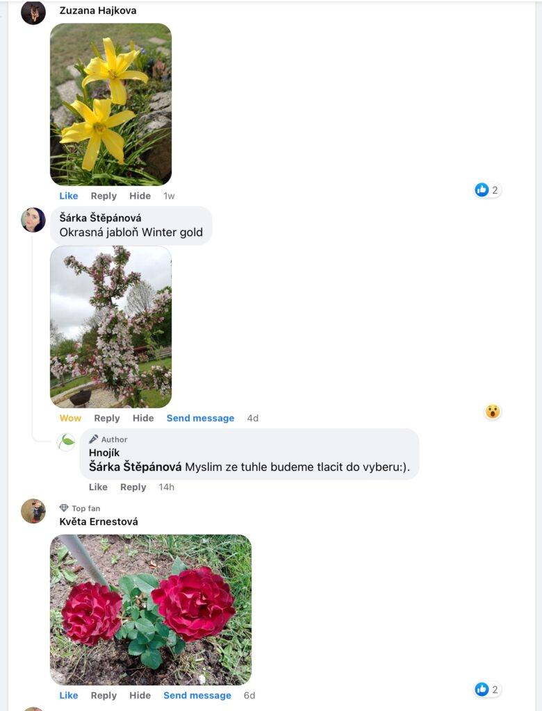 Fotografia hnojiva so zdravou zelenou rastlinou