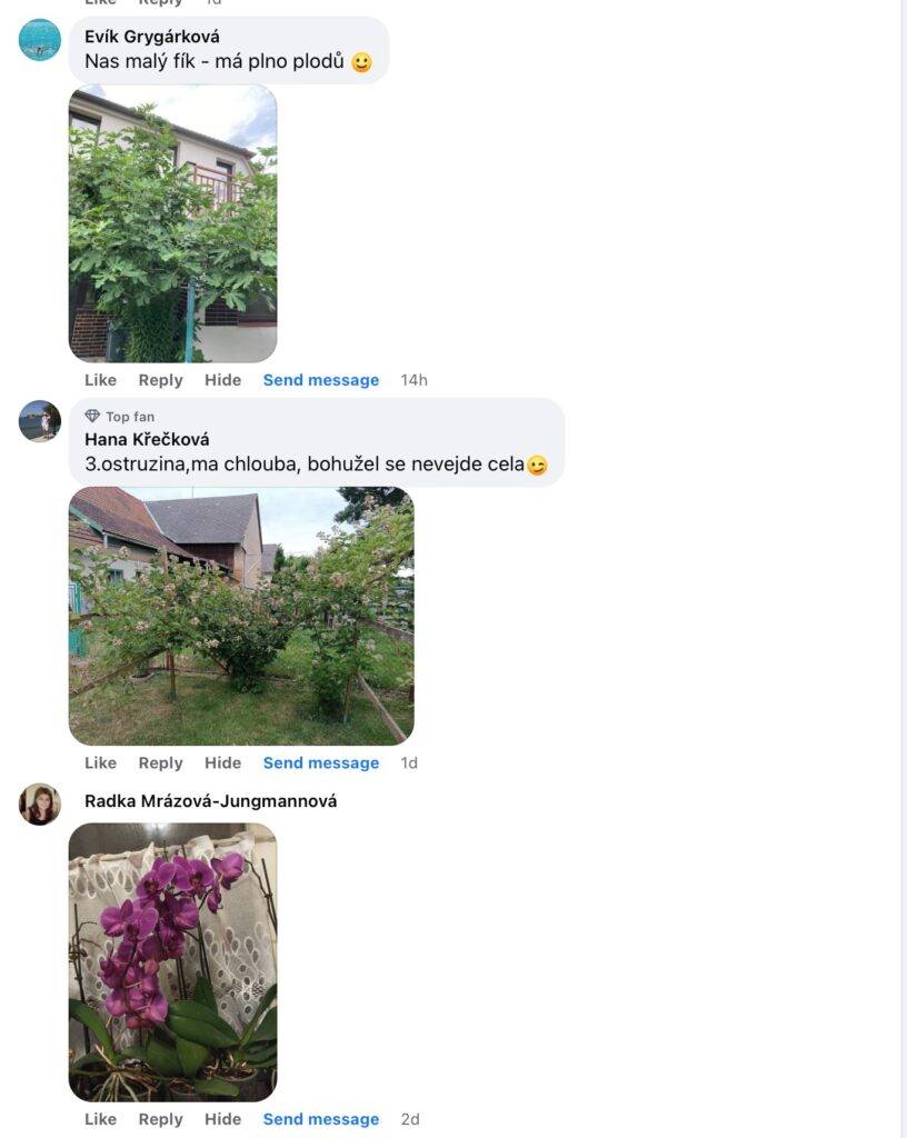 Hnojivo v balení pripravené na aplikáciu na rastliny