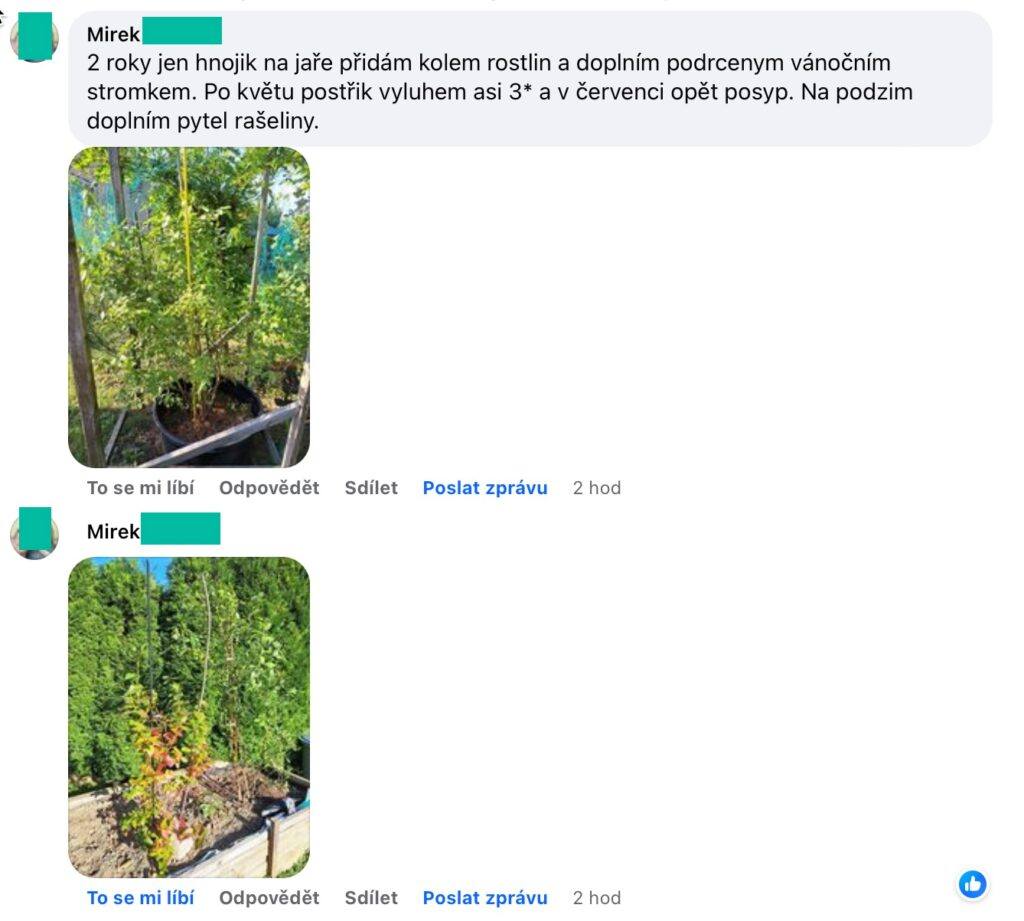 Záhradnícka scéna zo septembra, príprava alebo starostlivosť o rastliny
