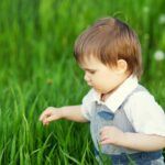 a cute child in a blue overalls and blue eyes plays funny in the tall green grass in a green copy 1