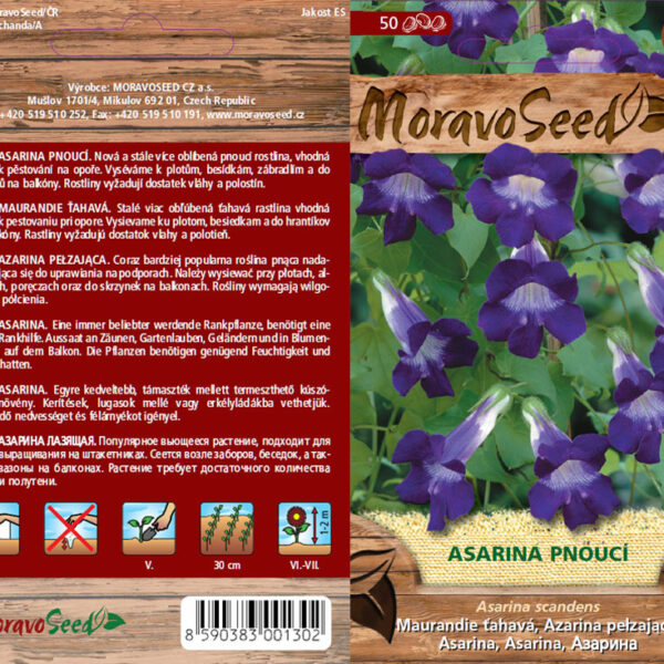 Maurandie ťahavá - Asarina scandens semienka