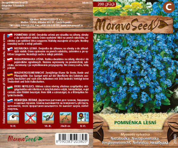 Nezábudka lesná - Myosotis sylvatica - modrá semienka