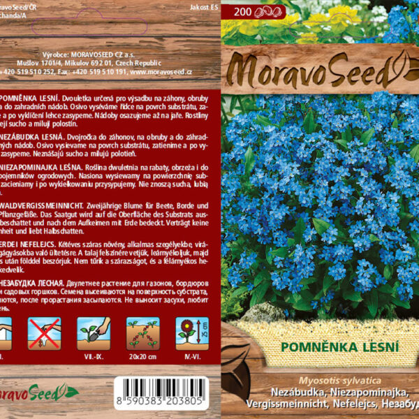 Nezábudka lesná - Myosotis sylvatica - modrá semienka