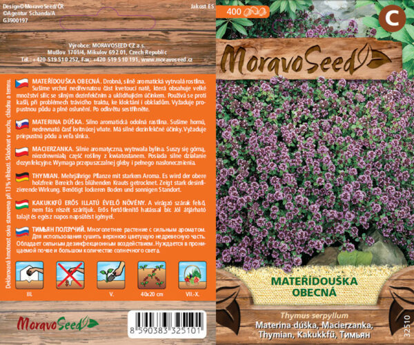 Materina dúška - Thymus serpyllum semienka