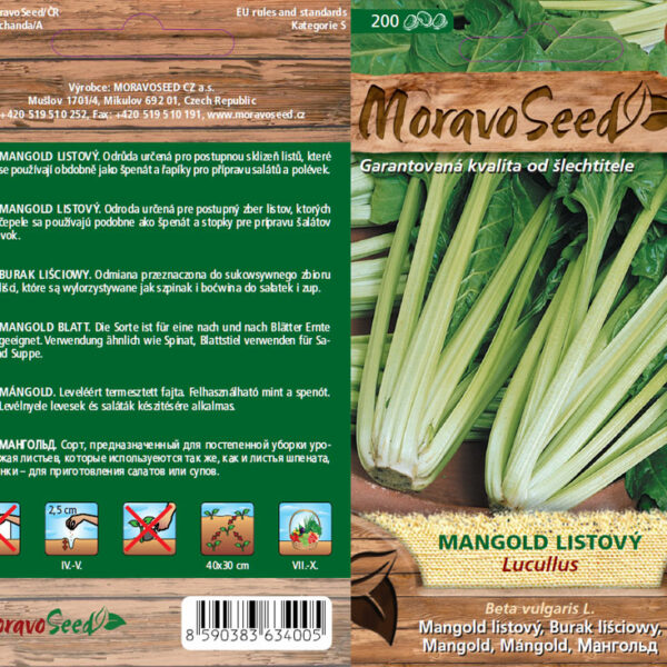 Mangold listový - Beta vulgaris - Lucullus - zelený semienka