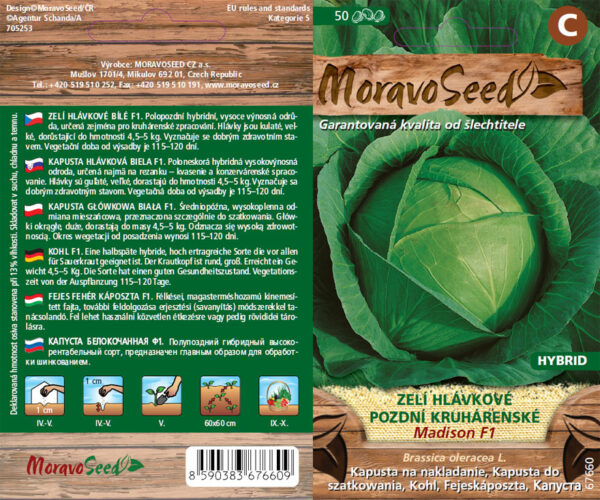 Kapusta hlávková - Brassica oleracea - MADISON F1 - neskorý semienka