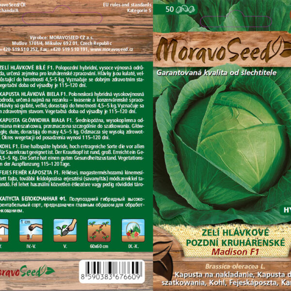 Kapusta hlávková - Brassica oleracea - MADISON F1 - neskorý semienka