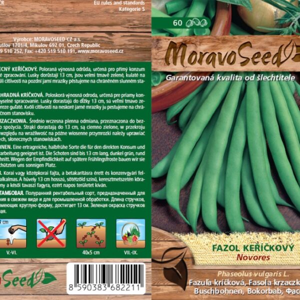 Fazuľa keríčková - Phaseolus vulgaris - NOVORES - zelený semienka