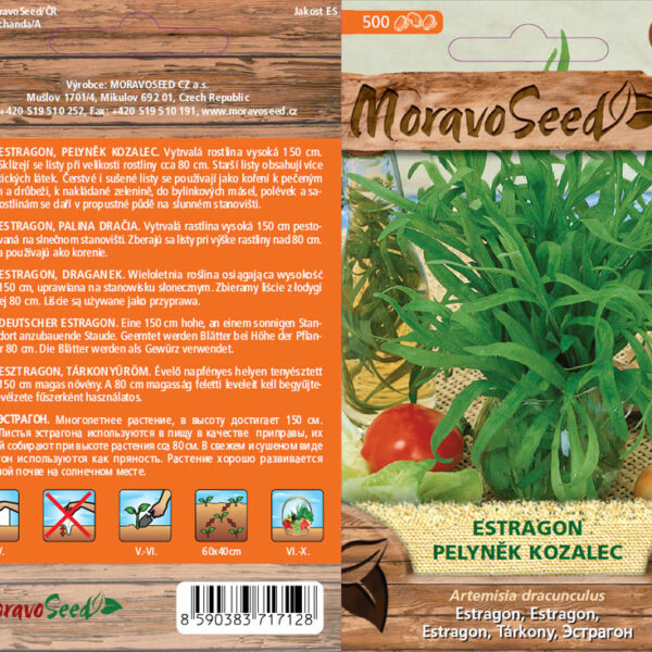 Estragon, známy tiež ako tarragon (Artemisia dracunculus), je bylinka obľúbená predovšetkým v európskej kuchyni pre svoju jedinečnú chuť. Táto trvalka dosahuje výšku až okolo jedného metra a vyznačuje sa úzkymi, podlhovastými listami. Estragon je známy pre svoju výraznú, mierne pikantnú chuť s nádychom anízu, ktorá dodáva jedlám jemnú a sofistikovanú chuť. Táto bylinka je základnou súčasťou francúzskej kuchyne, často používaná v omáčkach, ako je béarnaise, a je obľúbená tiež v šalátoch a pri príprave rôznych mäsových pokrmov. Estragon je tiež cenený pre svoje liečivé vlastnosti, vrátane podpory trávenia a úľavy od bolesti zubov. semienka
