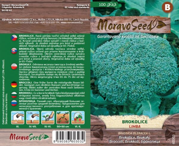 Brokolica - Limba - Brassica oleracea semienka