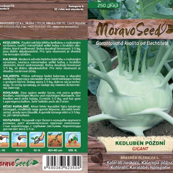 Kaleráb neskorý - Brassica oleracea - Gigant - biely semienka