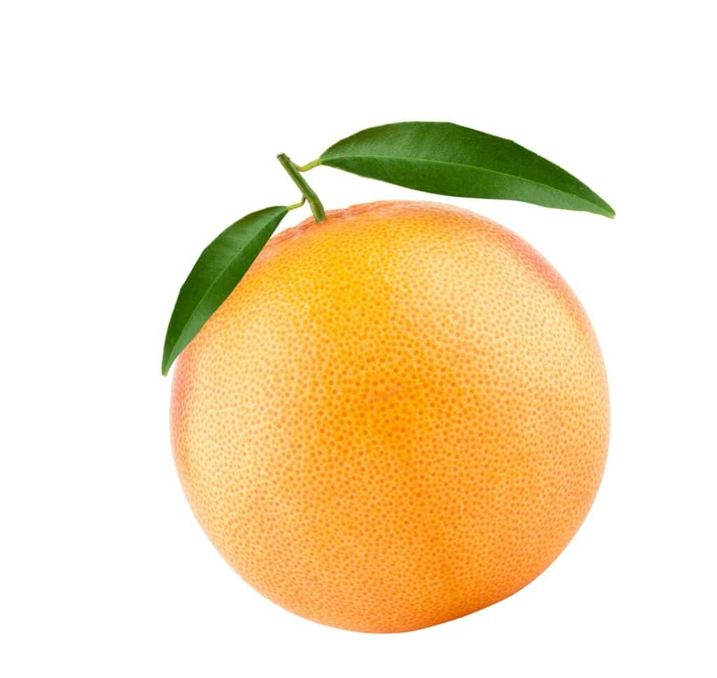 grapefruit - plod s lístkami na bielom pozadí.