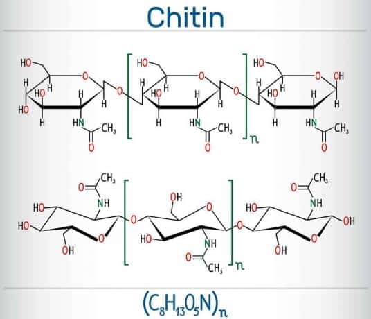 chitin vzorec