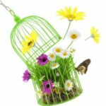 cage with grass flowers and insects isolated on white copy 279x300 1