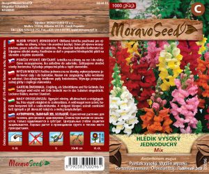 Psinček vysoký - Antirrhinum majus