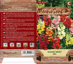 Psinček nízky - Antirrhinum majus