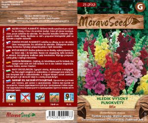 Psinček vysoký - Antirrhinum majus (25)