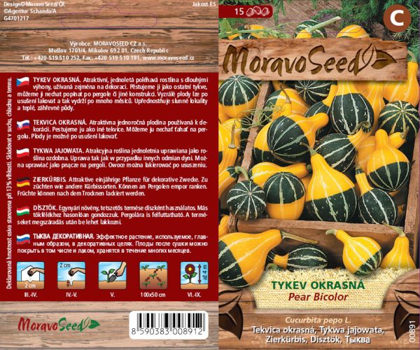 Tekvica okrasná - Cucurbita pepo - žltozelená
