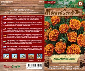 Aksamietnica nízka - Tagetes patula - plna oranžovohneda