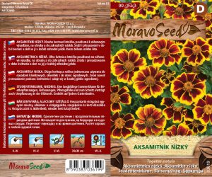 Aksamietnica nízka - Tagetes patula - jednoduchá hnedožlt