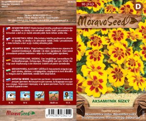 Aksamietnica nízka - Tagetes patula - žltohneda