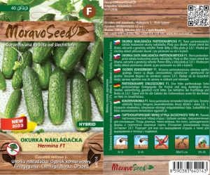 Uhorka nakladačka hruboostná - Cocumis sativus - HERMINA F1