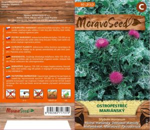 Pestrec mariánsky- Silybum marianum