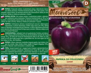 Paprika na rýchlenie - Capsicum annuum - LORAN - kvadratická, fialová