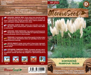 Pampová tráva - Cortaderia selloana - biela