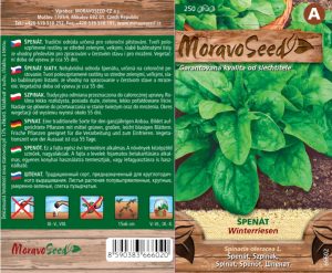 Špenát siaty - Spinacia oleracea - WINTERRIESEN